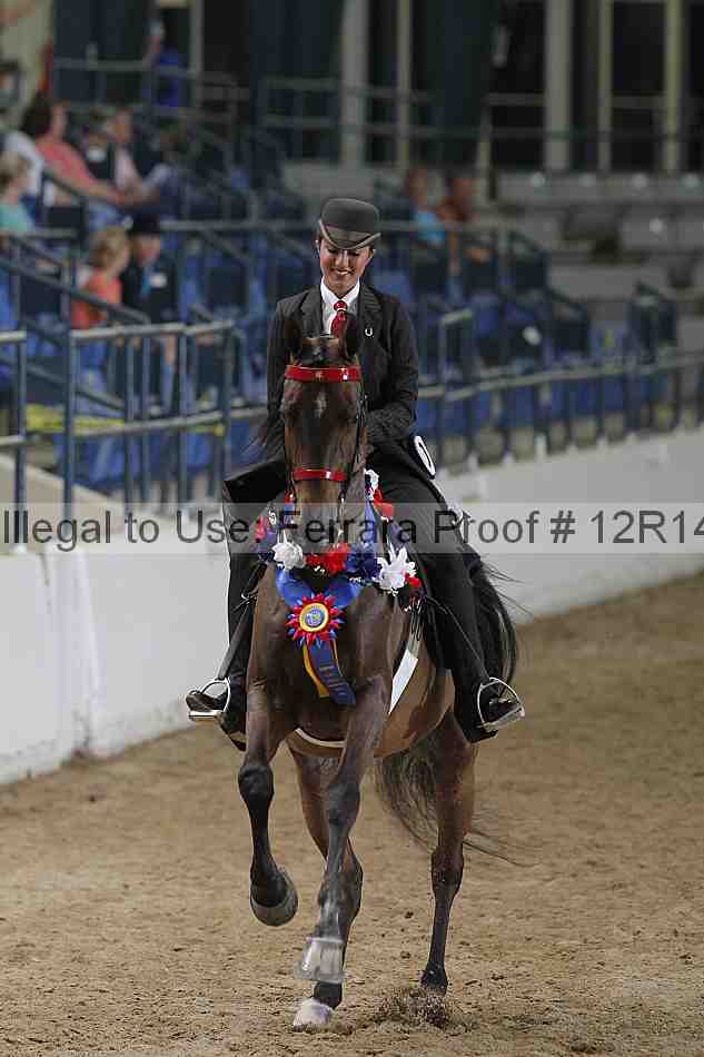 Proof Number 12r14_3387