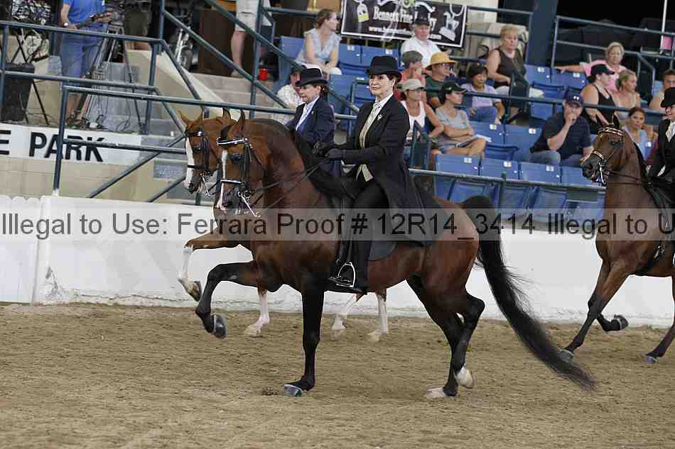 Proof Number 12r14_3414