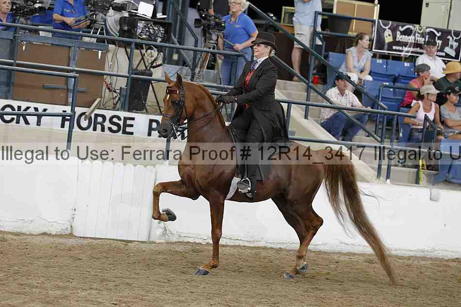 Proof Number 12r14_3417