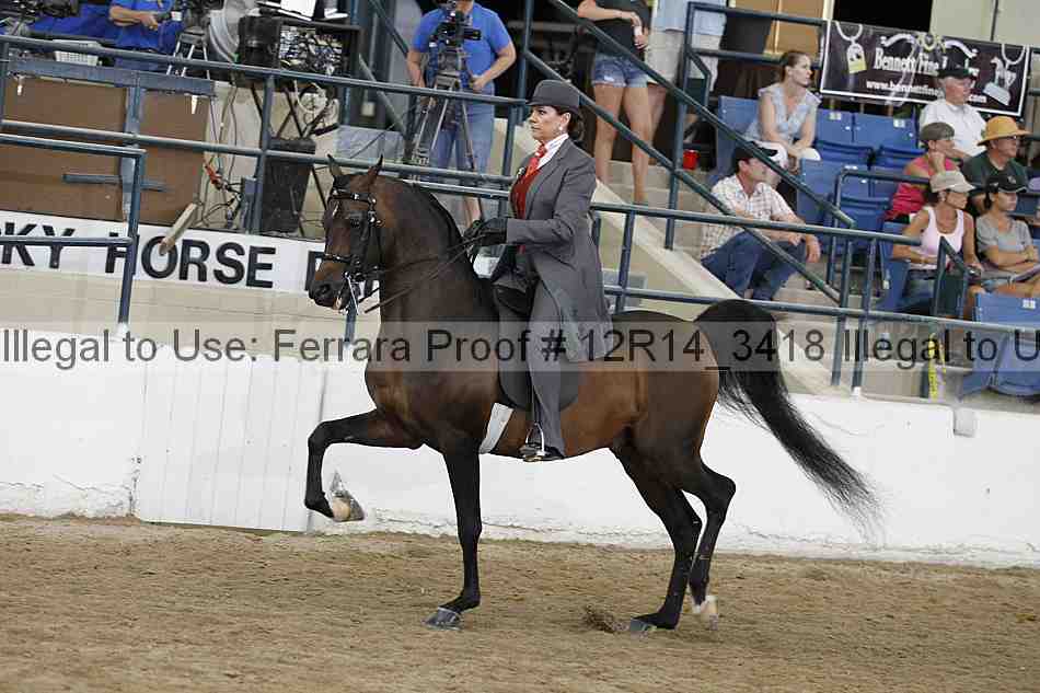 Proof Number 12r14_3418