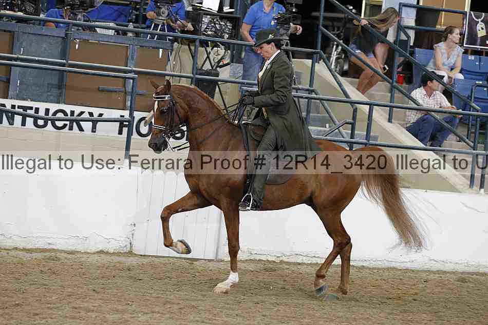 Proof Number 12r14_3420