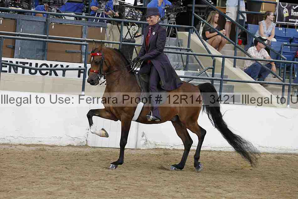 Proof Number 12r14_3421