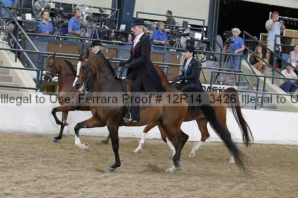 Proof Number 12r14_3426