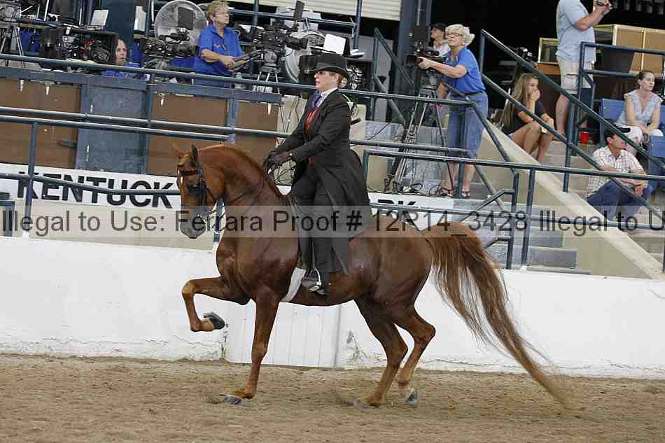 Proof Number 12r14_3428