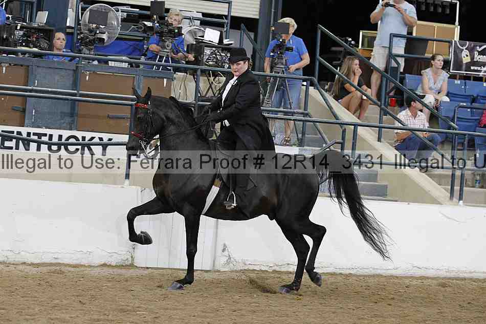 Proof Number 12r14_3431