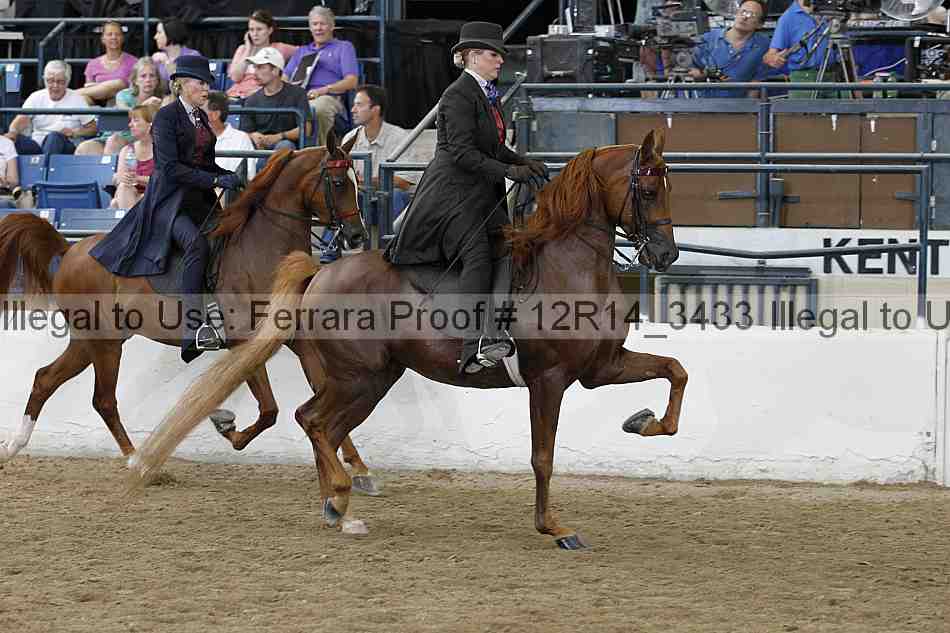 Proof Number 12r14_3433