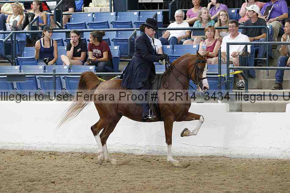 Proof Number 12r14_3434