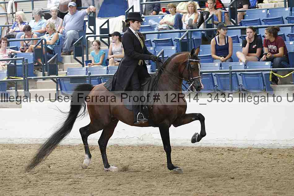 Proof Number 12r14_3435