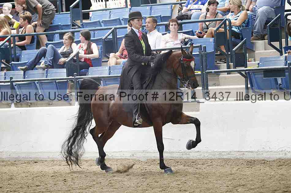 Proof Number 12r14_3437