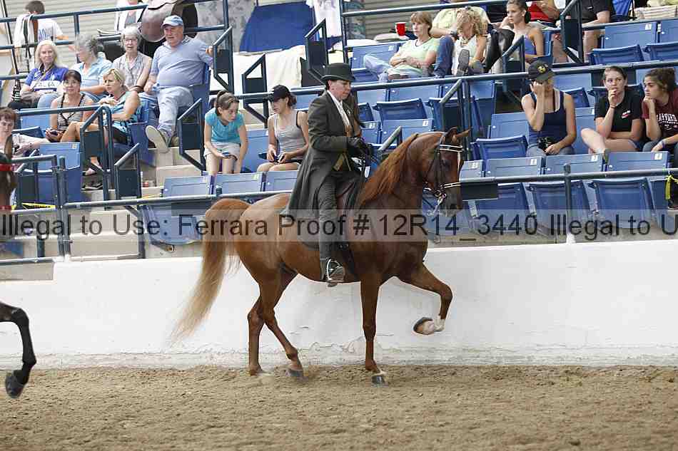 Proof Number 12r14_3440
