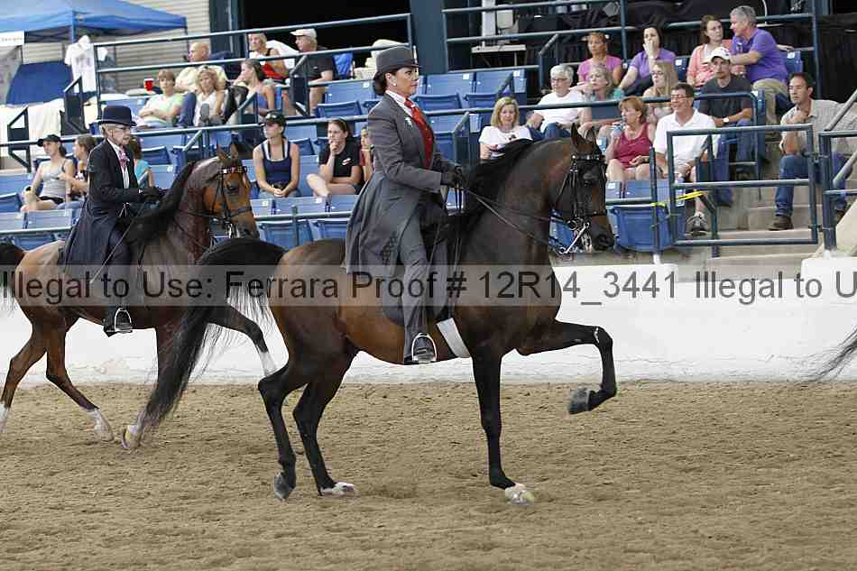 Proof Number 12r14_3441