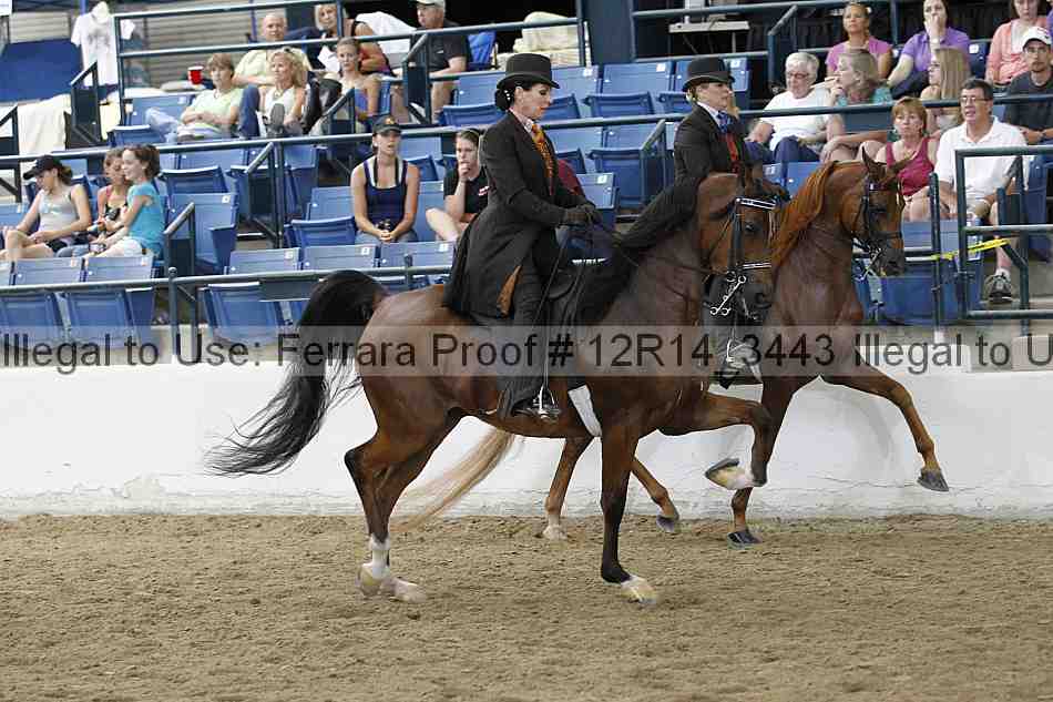 Proof Number 12r14_3443