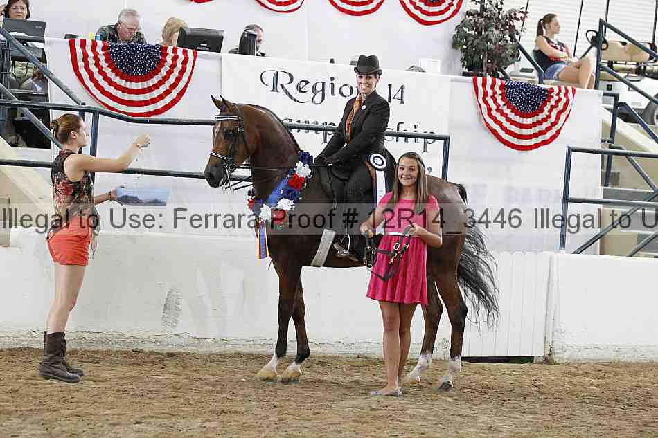 Proof Number 12r14_3446