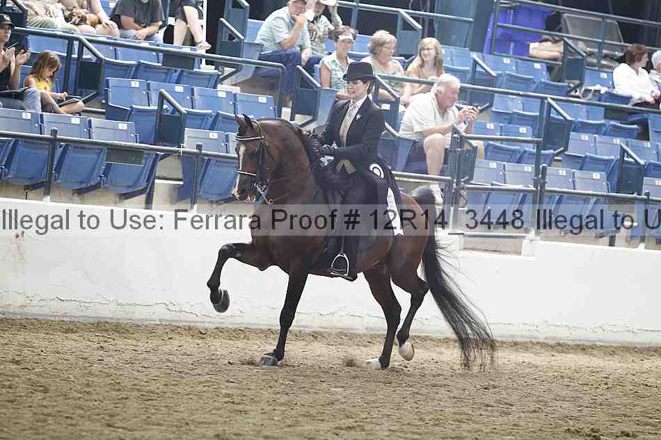 Proof Number 12r14_3448