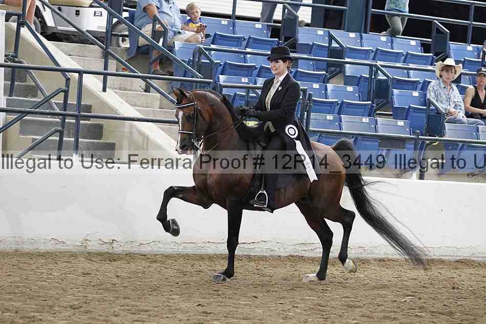 Proof Number 12r14_3449
