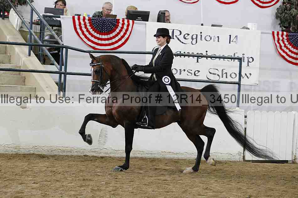 Proof Number 12r14_3450