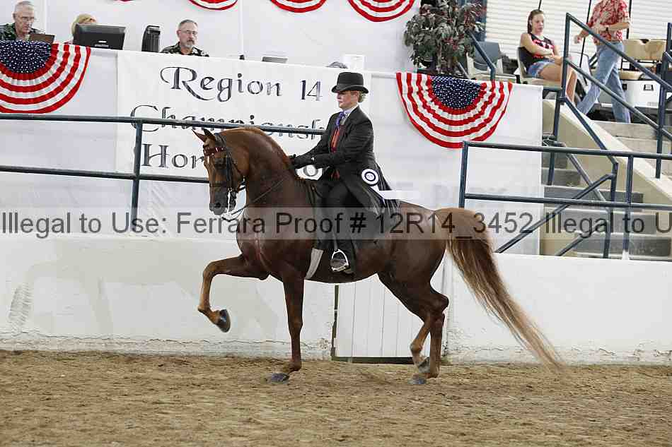 Proof Number 12r14_3452