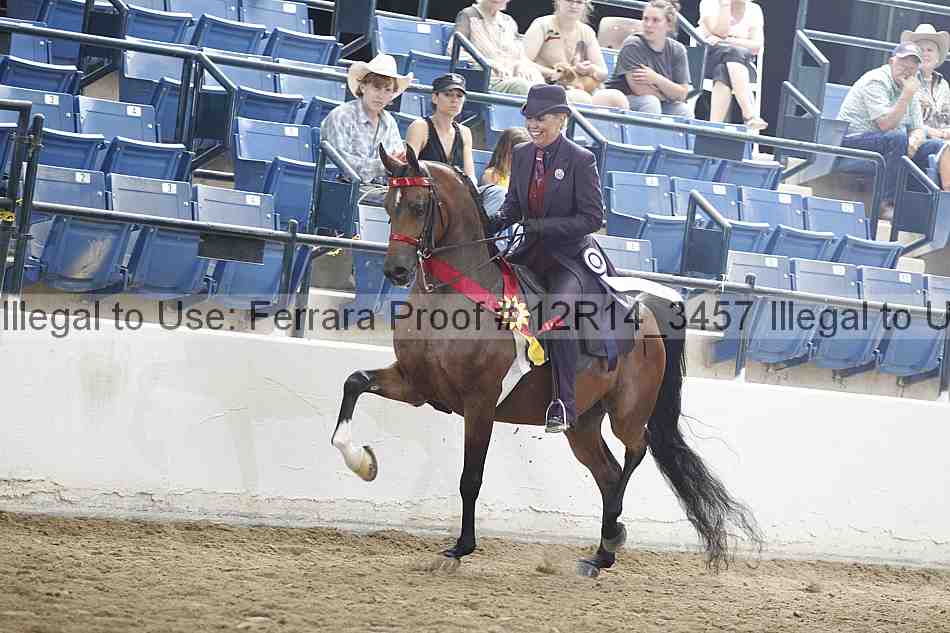 Proof Number 12r14_3457
