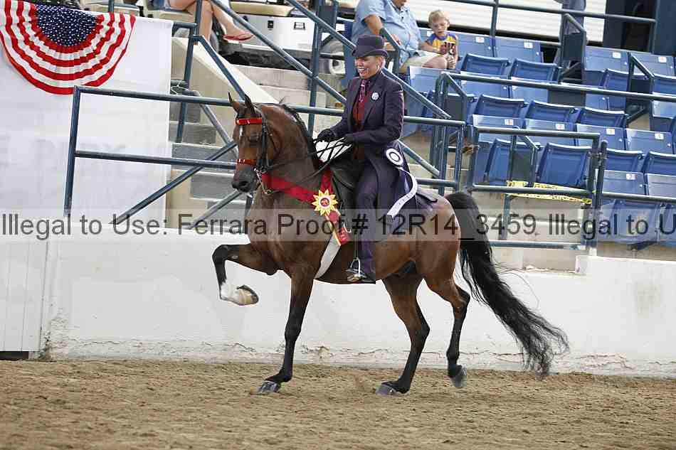 Proof Number 12r14_3459