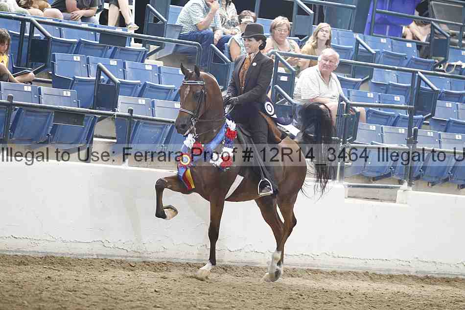 Proof Number 12r14_3464