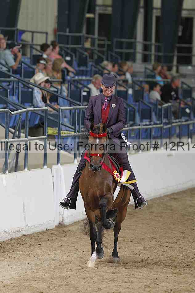 Proof Number 12r14_3468