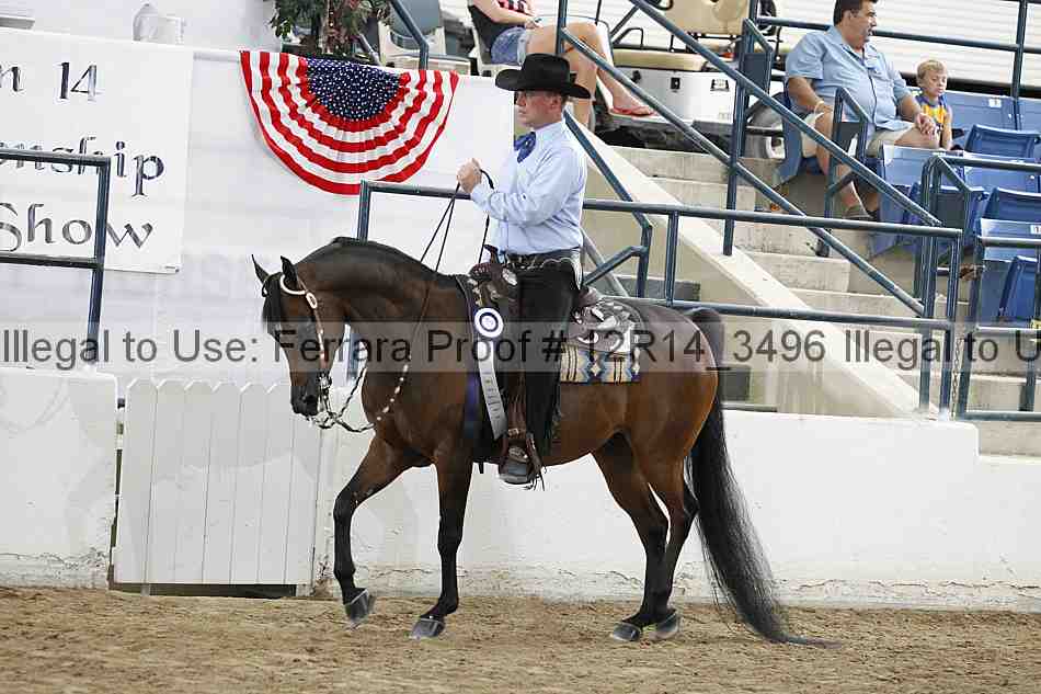 Proof Number 12r14_3496