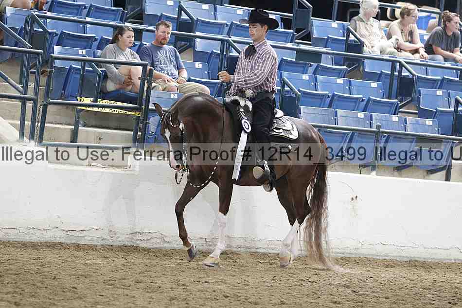 Proof Number 12r14_3499