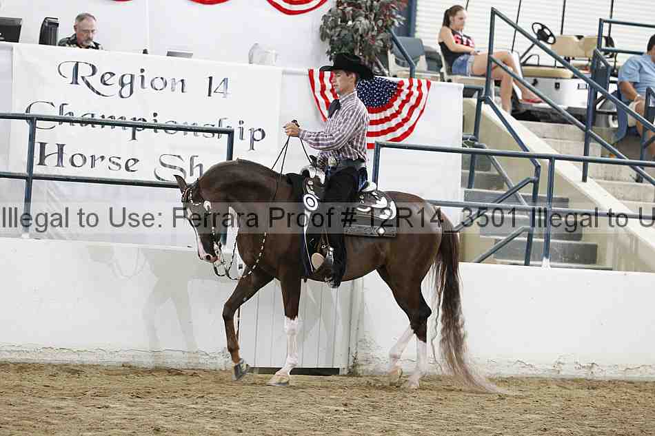 Proof Number 12r14_3501