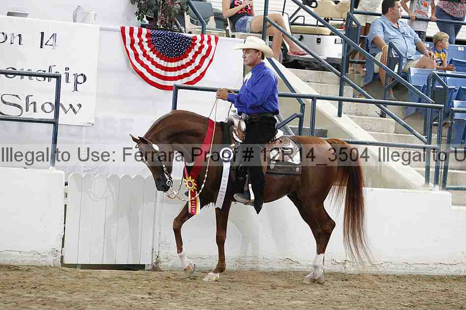 Proof Number 12r14_3504