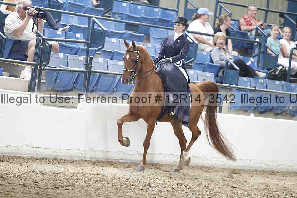 Proof Number 12r14_3542