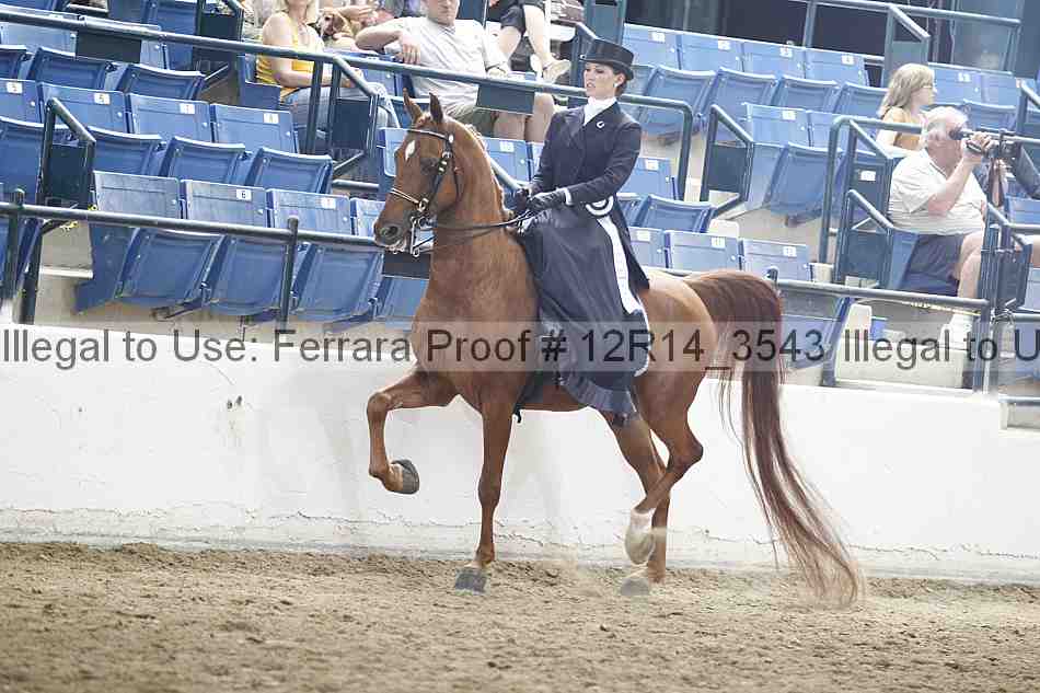 Proof Number 12r14_3543