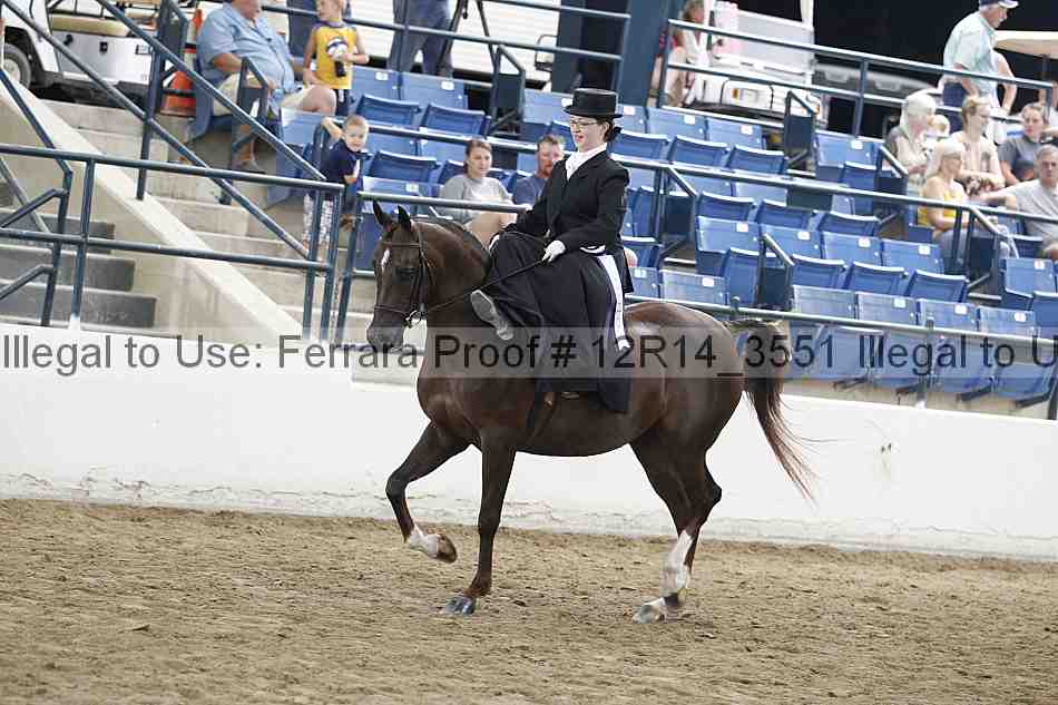 Proof Number 12r14_3551