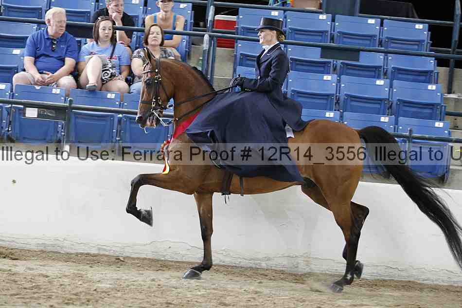 Proof Number 12r14_3556