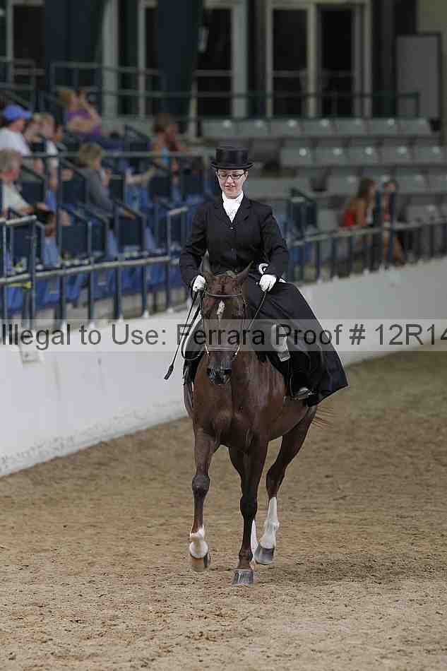 Proof Number 12r14_3558