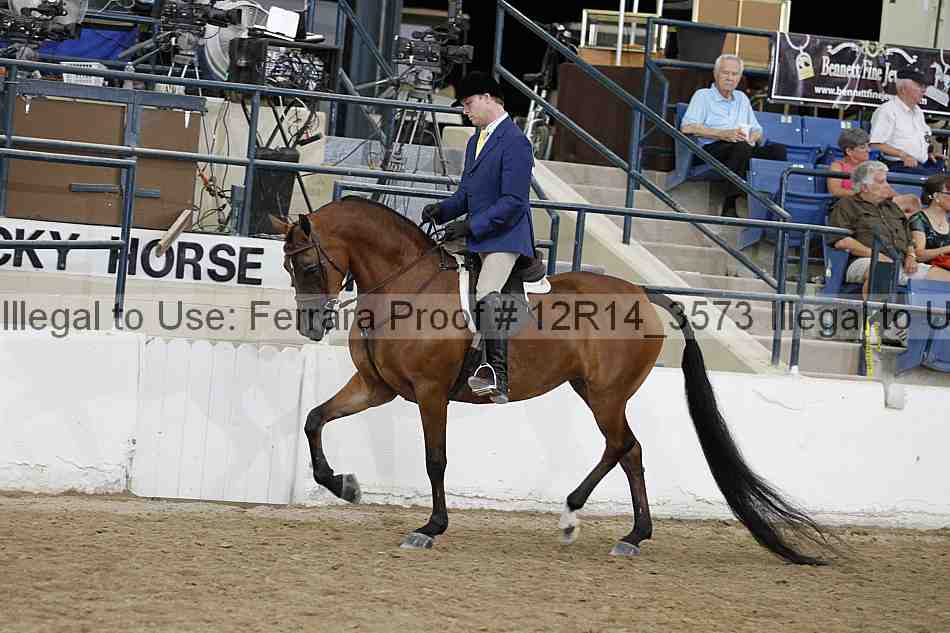Proof Number 12r14_3573