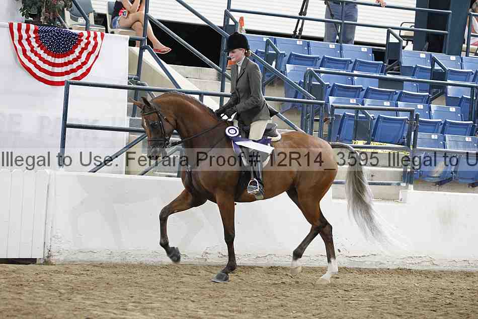 Proof Number 12r14_3595