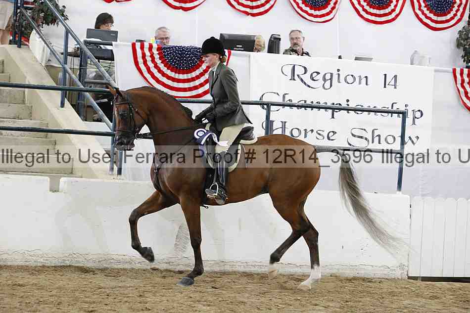 Proof Number 12r14_3596