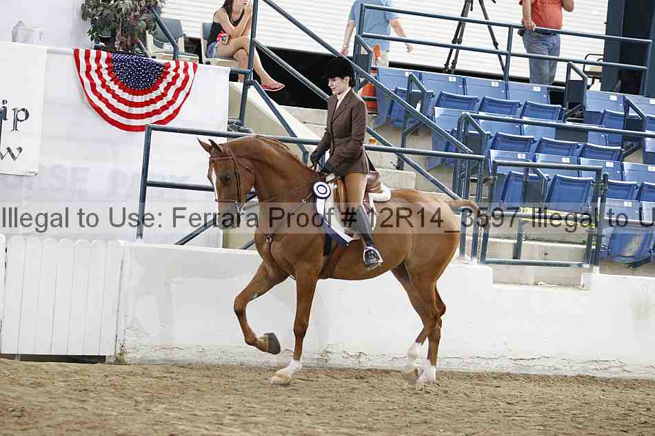 Proof Number 12r14_3597