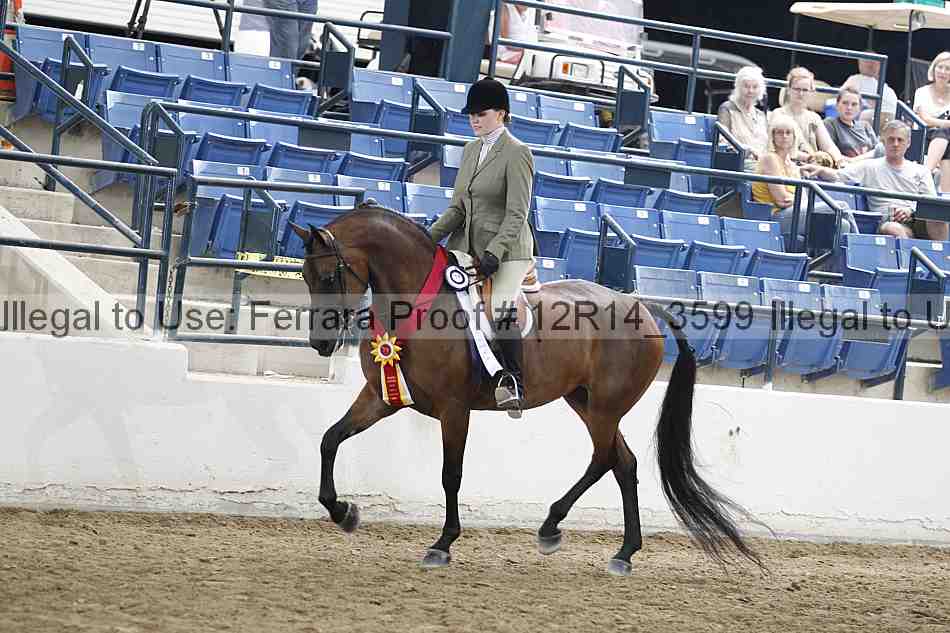 Proof Number 12r14_3599