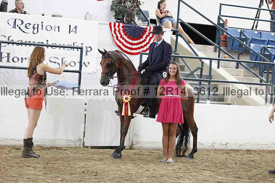 Proof Number 12r14_3612