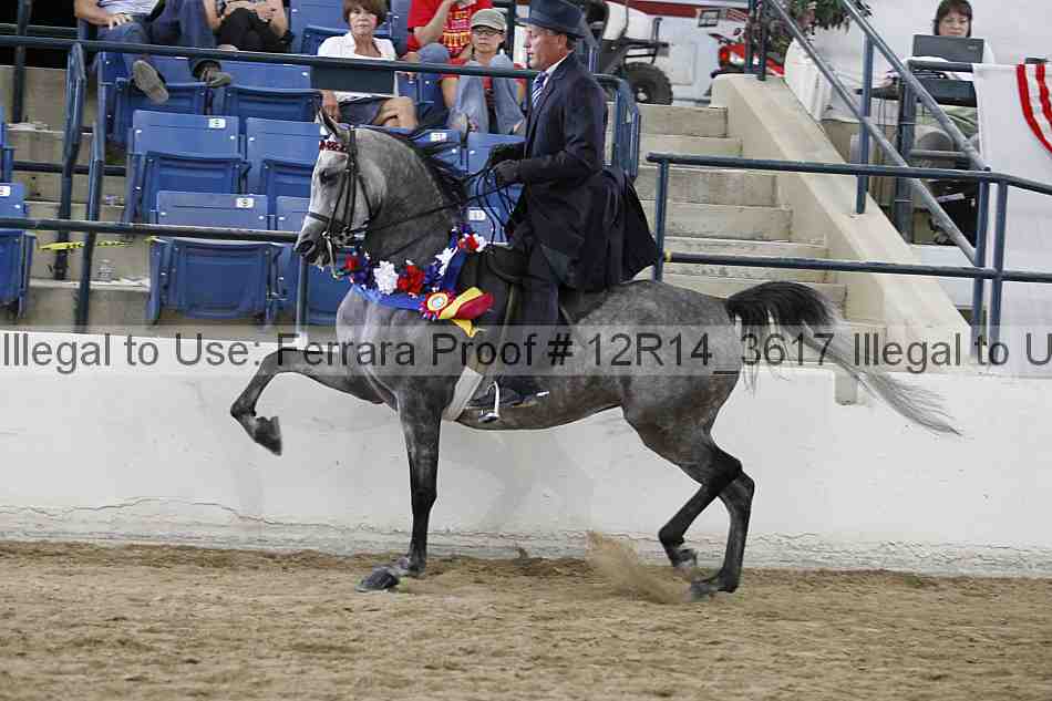 Proof Number 12r14_3617