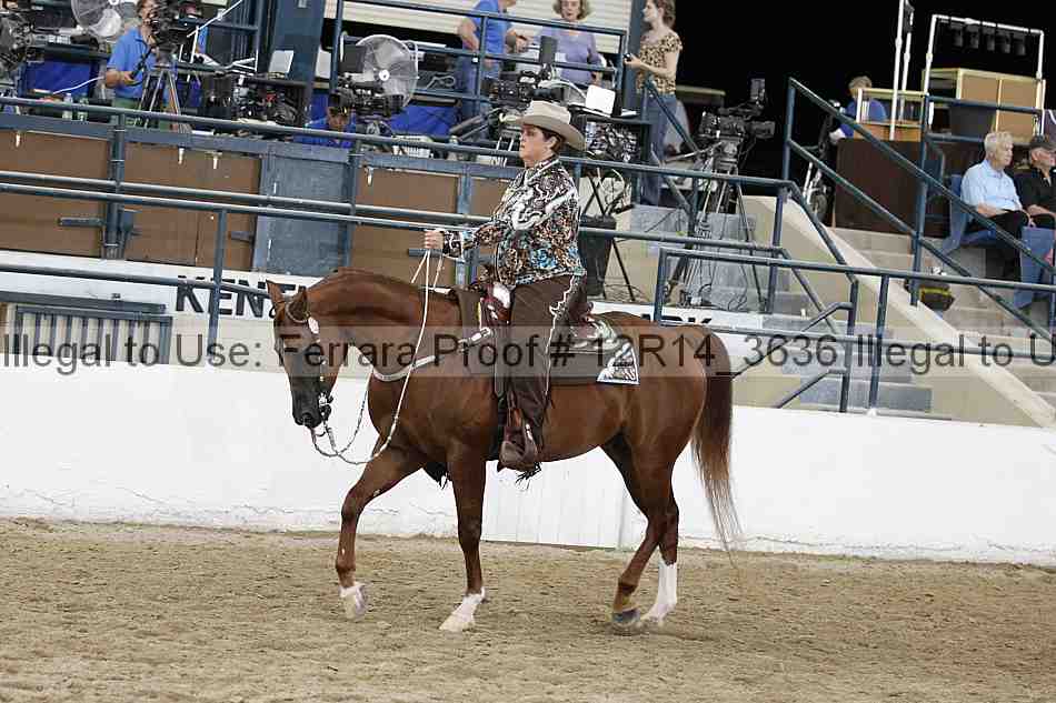 Proof Number 12r14_3636