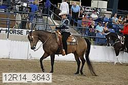 12r14_3643 thumbnail