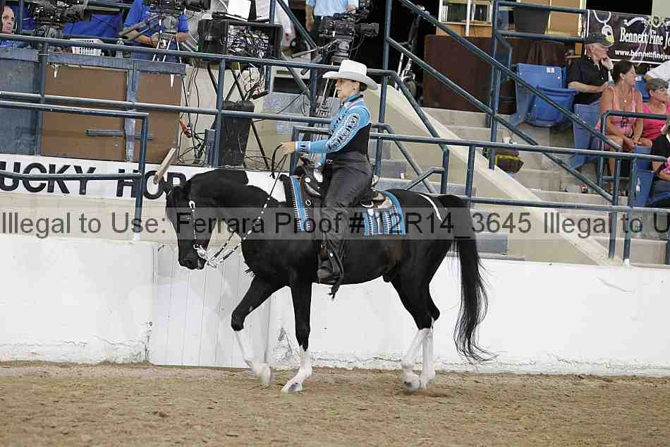 Proof Number 12r14_3645