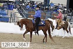 12r14_3647 thumbnail