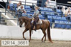 12r14_3661 thumbnail