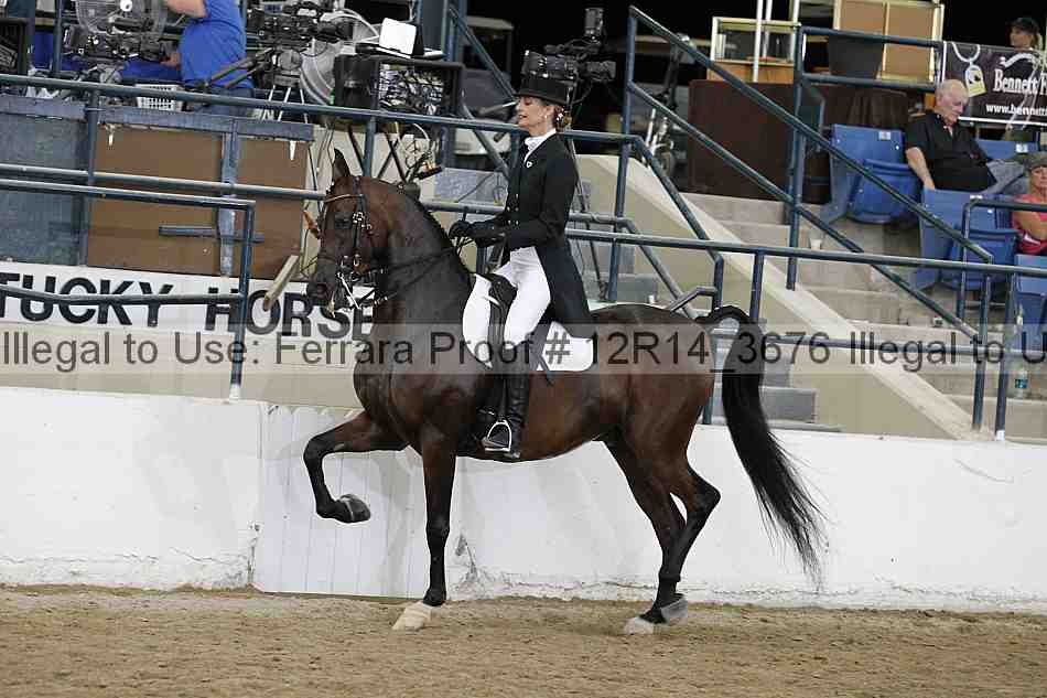 Proof Number 12r14_3676