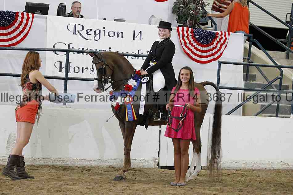 Proof Number 12r14_3687