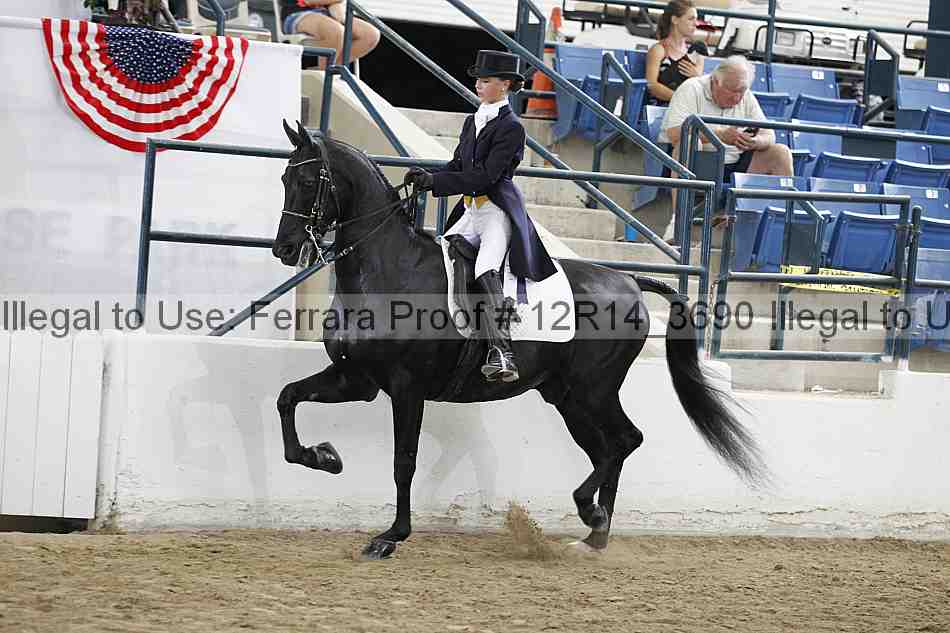Proof Number 12r14_3690