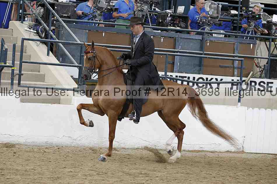 Proof Number 12r14_3698
